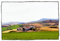 www.transandalusia.com - guided, paragliding holidays in Andalucia, Southern Spain